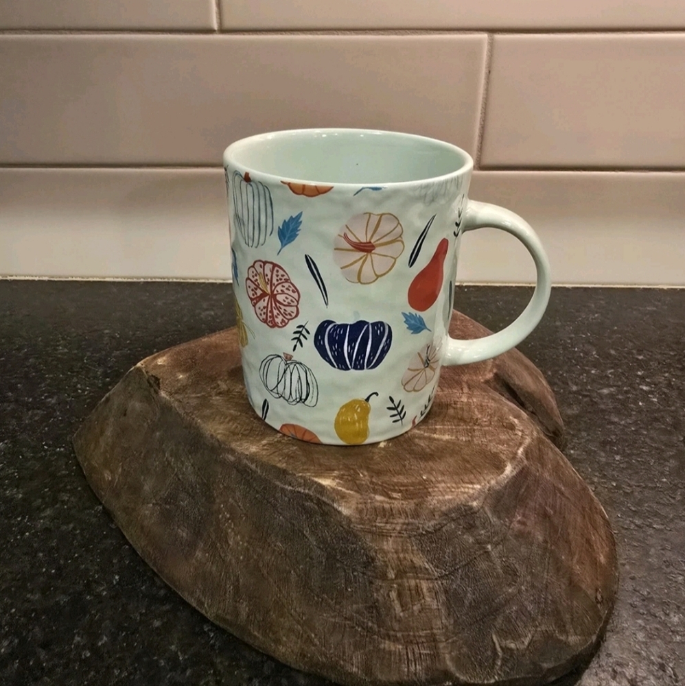 Multicolor Pumpkins And Gourds Aqua Colored Mug